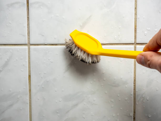 Best Kitchen Mold Remediation in Greenville, GA