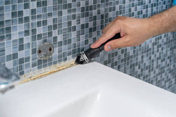 Best Bathroom Mold Remediation in Greenville, GA