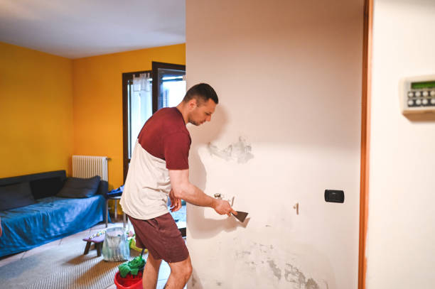 Best HVAC Mold Remediation in Greenville, GA